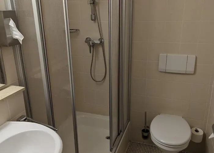 Goldener Loewe Otel 3*